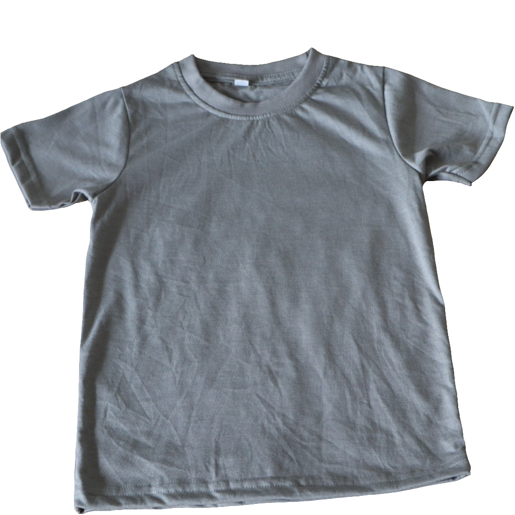 Solid Light Grey T-Shirt